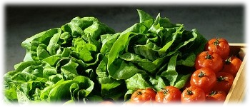 Example content image